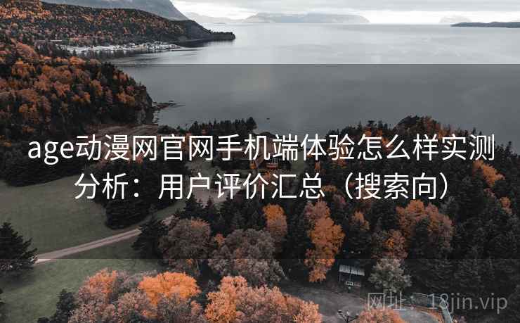 age动漫网官网手机端体验怎么样实测分析：用户评价汇总（搜索向）