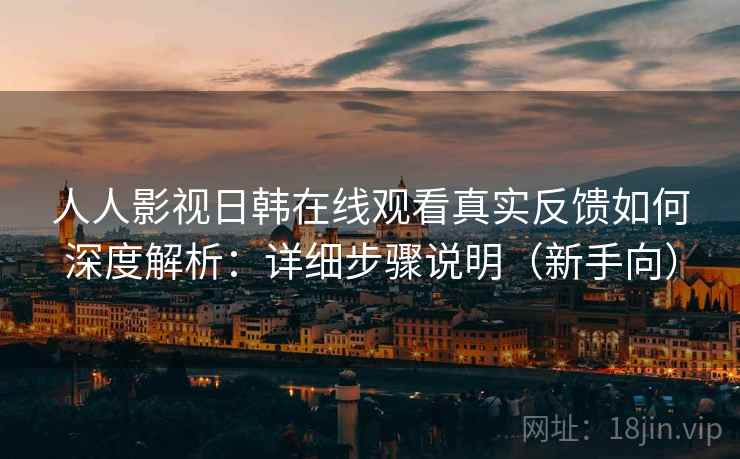 人人影视日韩在线观看真实反馈如何深度解析：详细步骤说明（新手向）