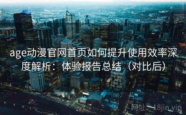 age动漫官网首页如何提升使用效率深度解析：体验报告总结（对比后）