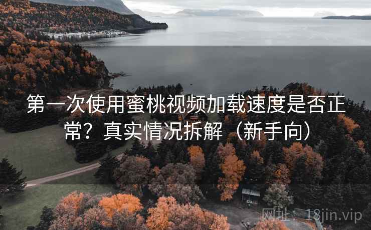 第一次使用蜜桃视频加载速度是否正常？真实情况拆解（新手向）