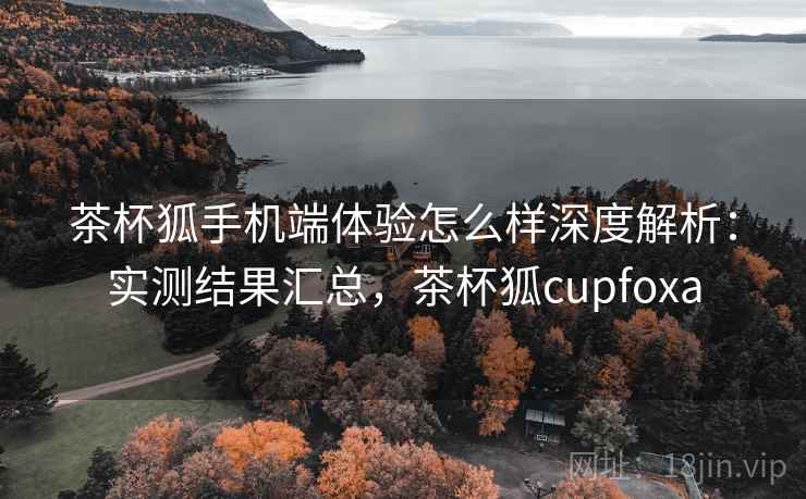茶杯狐手机端体验怎么样深度解析：实测结果汇总，茶杯狐cupfoxa
