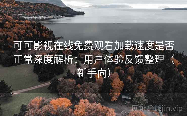可可影视在线免费观看加载速度是否正常深度解析：用户体验反馈整理（新手向）