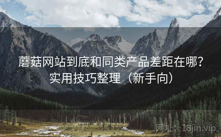 蘑菇网站到底和同类产品差距在哪？实用技巧整理（新手向）