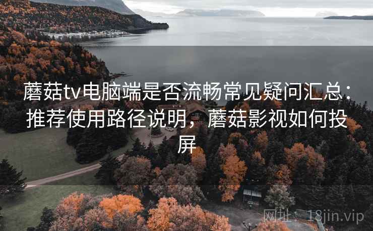 蘑菇tv电脑端是否流畅常见疑问汇总：推荐使用路径说明，蘑菇影视如何投屏