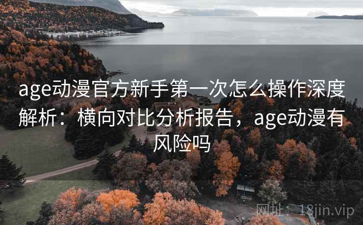 age动漫官方新手第一次怎么操作深度解析：横向对比分析报告，age动漫有风险吗