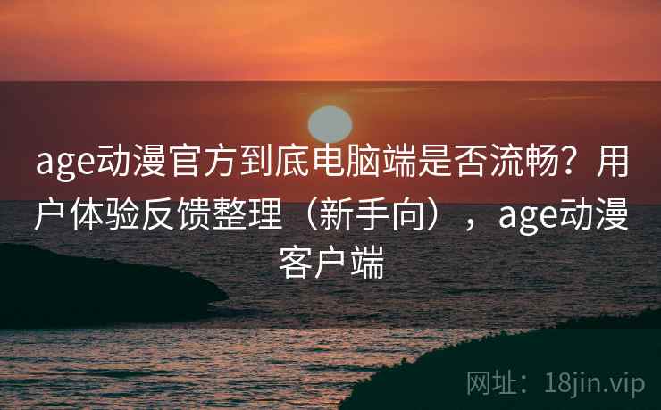 age动漫官方到底电脑端是否流畅？用户体验反馈整理（新手向），age动漫客户端